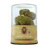 Golden Goat Delta-8 Flower - Cookies - Hybrid - 3.5g