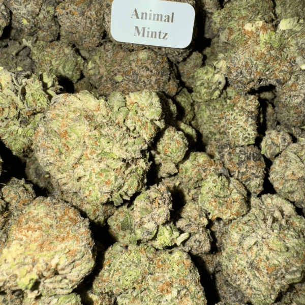 Animal-Mintz-HowToGetNearMe-BestPlace-LowestPrice-Coupon-Discount-For-Smoking-Best-High-Smoke-Shop-Online-Near-Me-StrongestBrand-BestBrand-Where-To-Buy-THC-THCA- Blazed Exotic THCA Flower – Hybrid