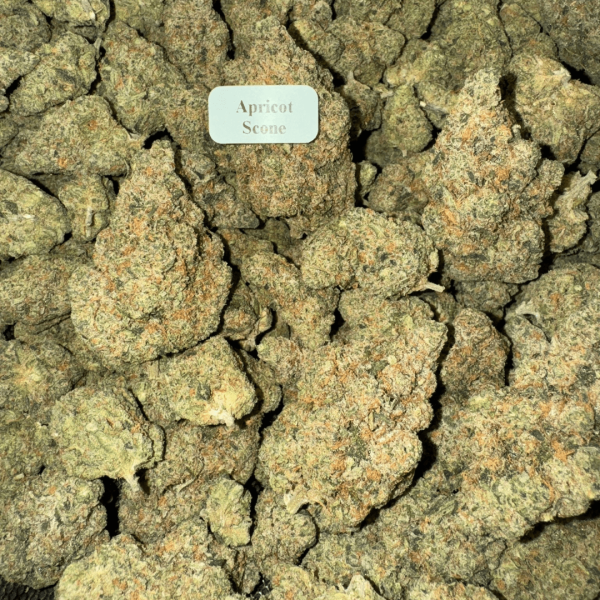 Animal-Scone-HowToGetNearMe-BestPlace-LowestPrice-Coupon-Discount-For-Smoking-Best-High-Smoke-Shop-Online-Near-Me-StrongestBrand-BestBrand-Where-To-Buy-THC-THCA- Bloomz THCA Flower – Indoor Exotics – Gold Line – Sativa