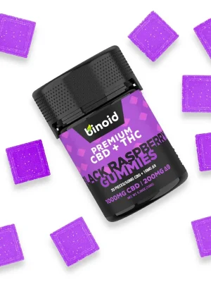 Binoid Delta 9 THC Gummies - Black Raspberry