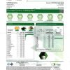 Binoid Good Night CBD Oil - Sleep Blend
