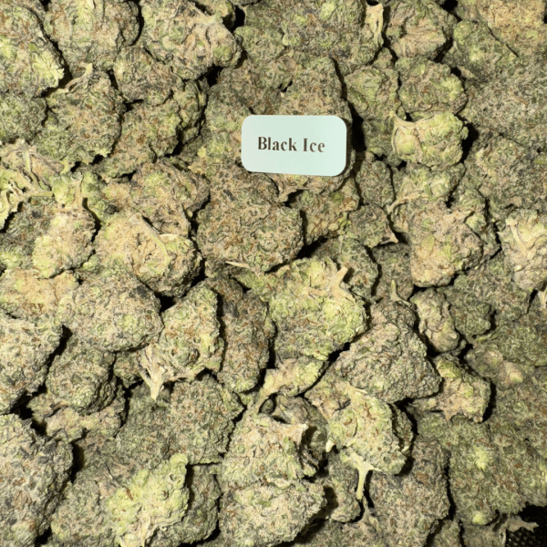 Black-Ice-HowToGetNearMe-BestPlace-LowestPrice-Coupon-Discount-For-Smoking-Best-High-Smoke-Shop-Online-Near-Me-StrongestBrand-BestBrand-Where-To-Buy-THC-THCA-D8- Blazed Exotic THCA Flower – Indica