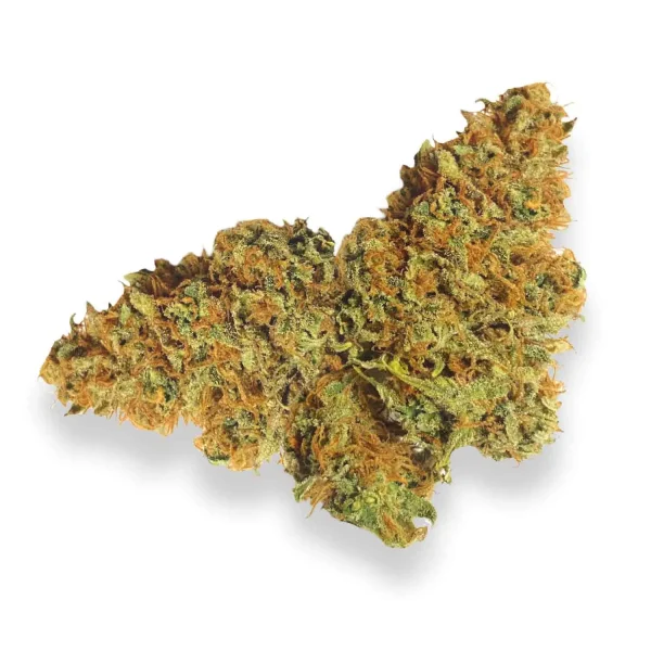 Blue-Cheese-Cannabis-Strain IHF Boax Indoor CBD Hemp Flower