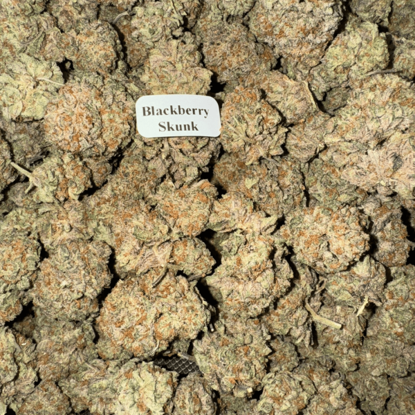 Blueberry-Skunk-WhereToGet-HowToGetNearMe-BestPlace-LowestPrice-Coupon-Discount-For-Smoking-Best-High-Smoke-Shop-Online-Near-Me-Strongest-Binoidcca1 Blazed Exotic THCA Flower – Indica