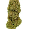 Plain Jane Critical Berries Hemp Flower