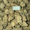 Bloomz THCA Flower – Indoor Exotics – Gold Line – Indica