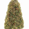 Plain Jane Forbidden Hemp Flower