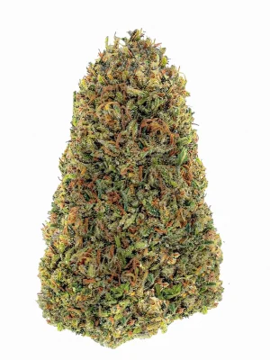 Plain Jane Forbidden Hemp Flower