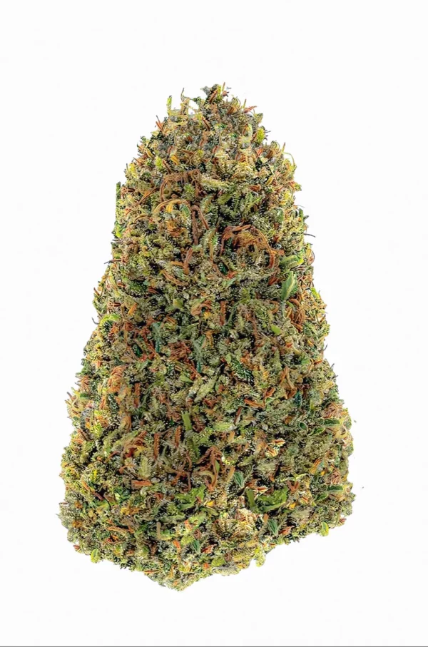 Forbidden_Pic_PJ__58082.1725228505 Plain Jane Forbidden Hemp Flower