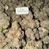 Bloomz THCA Flower – Indoor Exotics – Gold Line – Hybrid