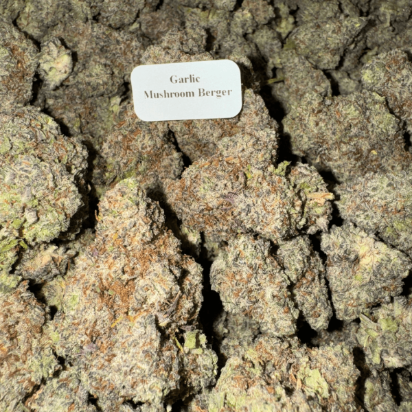 Garlic-Mushroom-Burger-WhereToGet-HowToGetNearMe-BestPlace-LowestPrice-Coupon-Discount-For-Smoking-Best-High-Smoke-Shop-Online-Near-Me-StrongestBrand-BestBrand Bloomz THCA Flower – Indoor Exotics – Gold Line – Hybrid