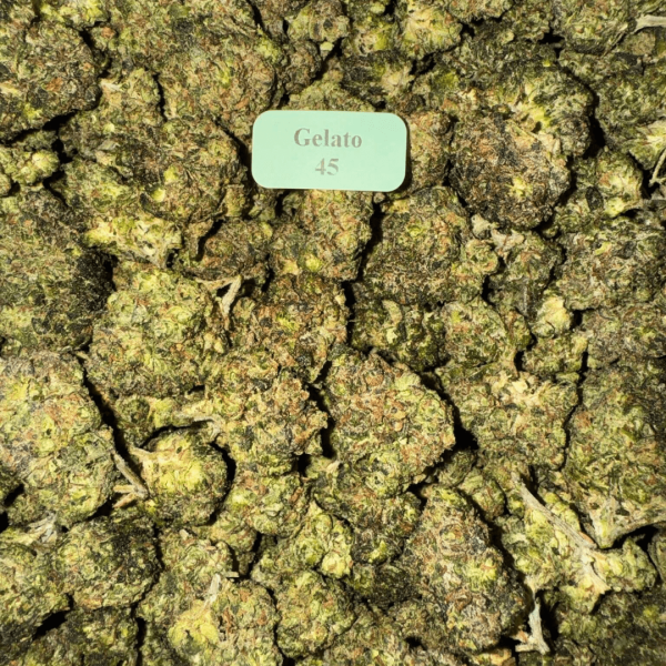 Gelato-45-WhereToGet-HowToGetNearMe-BestPlace-LowestPrice-Coupon-Discount-For-Smoking-Best-High-Smoke-Shop-Online-Near-Me-Strongest-Bloomzcca1 Bloomz THCA + THC-P Flower