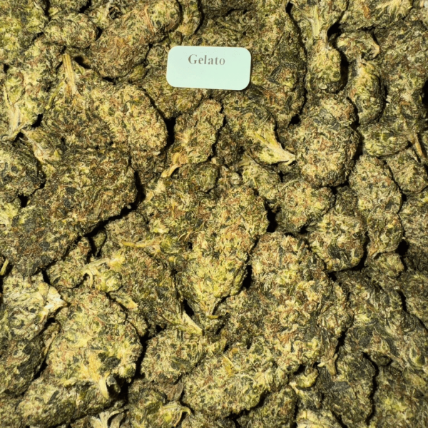 Gelato-WhereToGet-HowToGetNearMe-BestPlace-LowestPrice-Coupon-Discount-For-Smoking-Best-High-Smoke-Shop-Online-Near-Me-Strongest-Bloomzcca1 Bloomz THCA + THC-P Flower