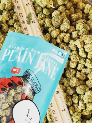 Plain Jane 1 Oz Small CBD Buds