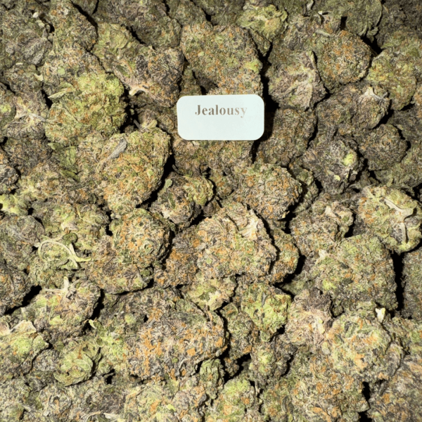 Jealousy-WhereToGet-HowToGetNearMe-BestPlace-LowestPrice-Coupon-Discount-For-Smoking-Best-High-Smoke-Shop-Online-Near-Me-StrongestBrand-BestBrandcca1 Bloomz THCA Flower – Indoor Exotics – Gold Line – Hybrid