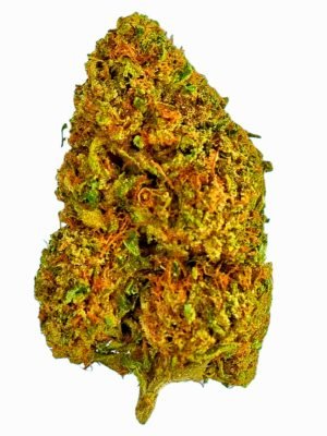 Plain Jane Lemon Octane Greenhouse Flower