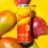 cbdMD Herbal Oasis Social Tonic - Mango Bliss