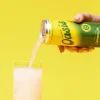 cbdMd Herbal Oasis Social Tonic - Lemon Lift