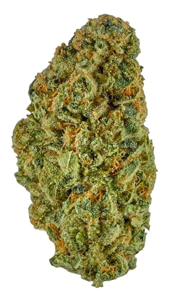 Orange_Gas_PJ_Pic__70964.17359213014352 Plain Jane Orange Gas Indoor Hemp Flower