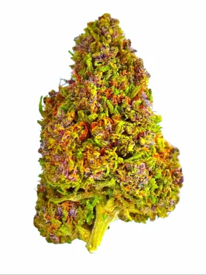 Plain Jane Pineapple Express Hemp Flower