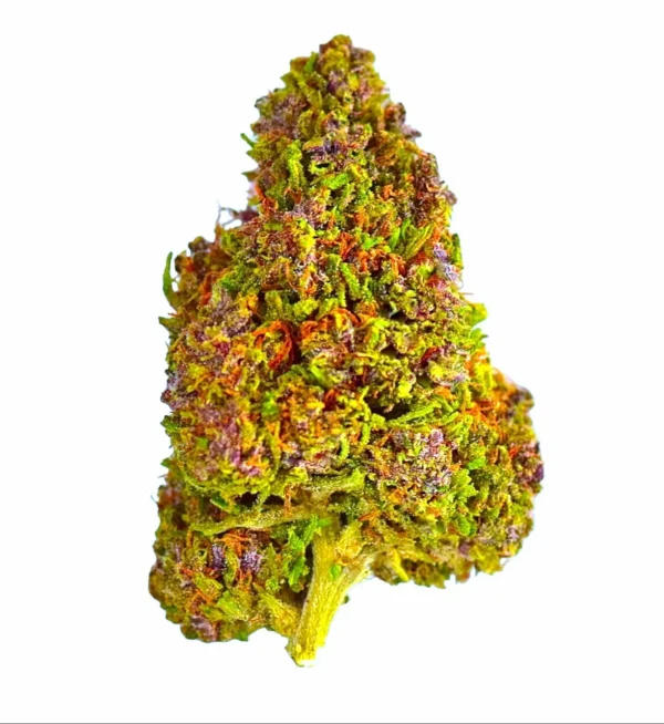 PJ_Pineapple_Express_flower_pic__99565.1704391028 Plain Jane Pineapple Express Hemp Flower
