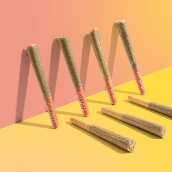 Plain-Jane-Cherry-Creme-Brulee-pre-rolls-group-shot-pre-rolls-leaning-on-wall-colorful-background___06569__07542.1736186110 Plain Jane Eighth Pack CBG Pre-Rolled Joint