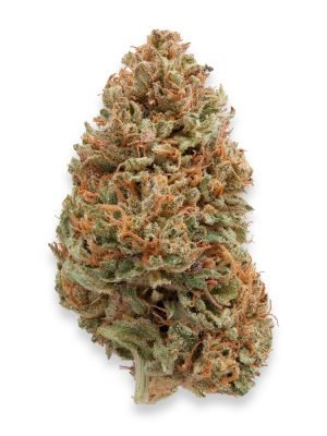 Plain Jane Hawaiian Haze | Sour Hawaiian Haze Hemp Flower