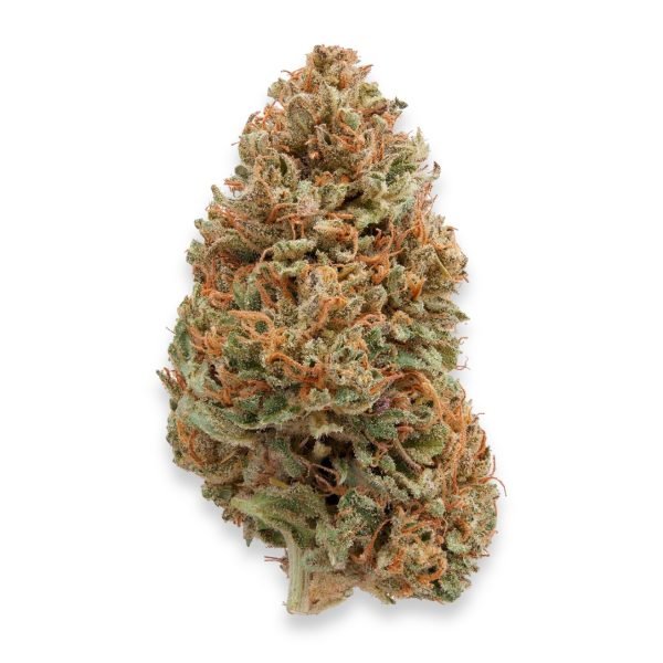 Plain-Jane-Hawaiian-Haze-Sour-Hawaiian-Haze-Hemp-Flower8688 Plain Jane Hawaiian Haze | Sour Hawaiian Haze Hemp Flower