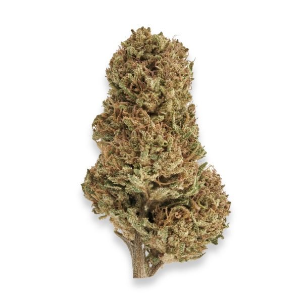 Plain-Jane-Sour-Space-Candy-Hemp-Flower8688 Plain Jane Sour Space Candy Hemp Flower