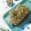 Plain Jane Cobbler Hemp Indoor Flower