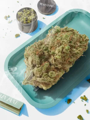 Plain Jane Cobbler Hemp Indoor Flower