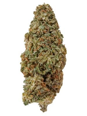 Plain Jane Forbidden Hemp Flower