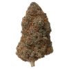 Plain Jane Mango Fire Indoor CBD Flower