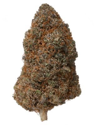 Plain Jane Mango Fire Indoor CBD Flower