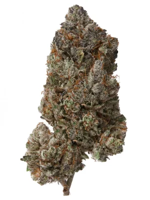 IHF Purple Kush Pop CBD Hemp Flower