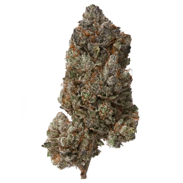 Plain_Jane_-_Pink_Pixie_flower__54081 IHF Purple Kush Pop CBD Hemp Flower