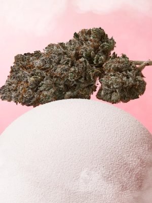 Plain Jane Pink Pixie Hemp Indoor Flower