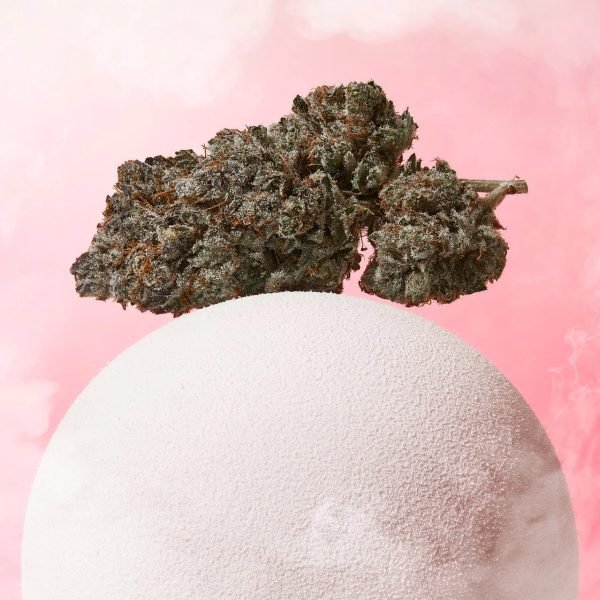 Plain Jane Pink Pixie Hemp Indoor Flower