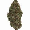 Plain Jane Raspberry Bear Claw Hemp Flower
