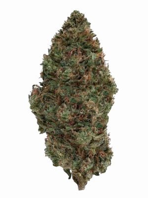 Plain Jane Raspberry Bear Claw Hemp Flower
