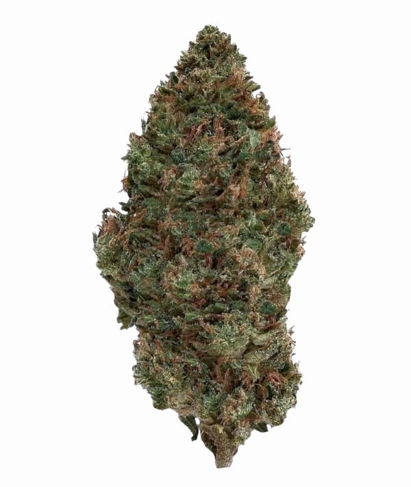Raspberry_Bear_Claw_picture__48728.17049174299526 Plain Jane Raspberry Bear Claw Hemp Flower