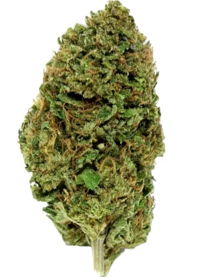 Plain Jane Royal OG Hemp Flower