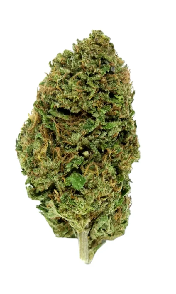 Royal_OG_pic__99215.1706635987 Plain Jane Royal OG Hemp Flower