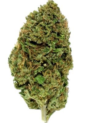 Plain Jane Royal OG Hemp Flower