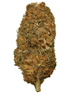 Plain Jane Delta 8 Sour Hawaiian Haze Hemp Flower