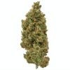 Plain Jane Sour Lifter Hemp Flower
