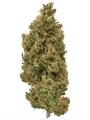 Plain Jane Sour Lifter Hemp Flower