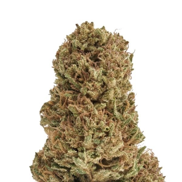 Sour-Space-Candy-Hemp-Flower8688 Plain Jane Sour Space Candy Hemp Flower