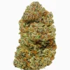 Plain Jane Sour Brule Hemp Flower
