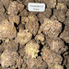 Bloomz THCA Flower – Indoor Exotics – Gold Line – Hybrid